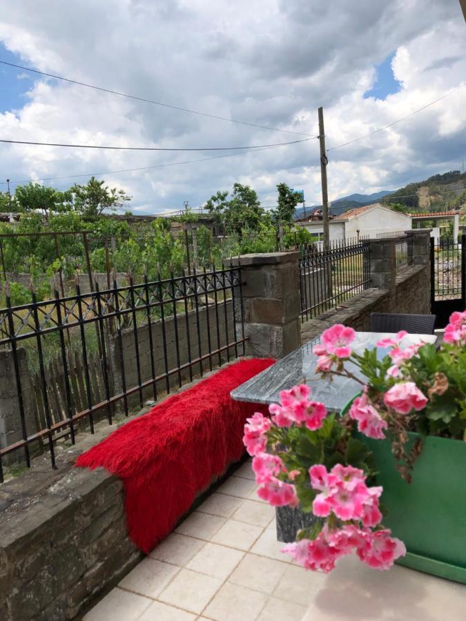 Adriatik Guesthouse Permet Luaran gambar